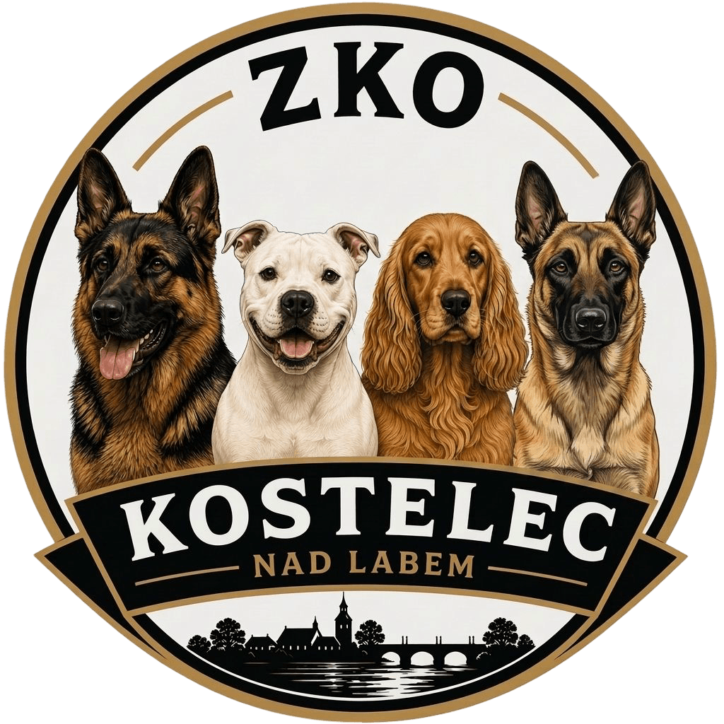 Výcvik psů – ZKO Kostelec nad Labem